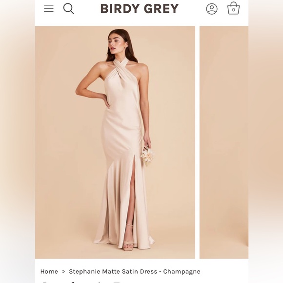 Birdy Grey Dresses & Skirts - Birdy Grey Champagne Satin Bridesmaids Dress